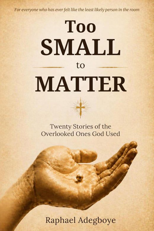 Cover of Too Small to Matter